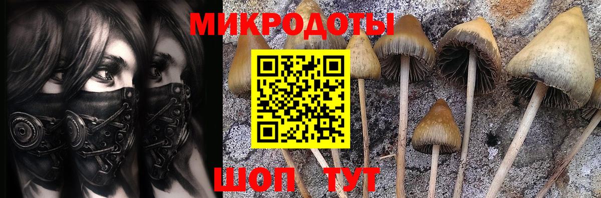 Галлюциногенные грибы прущие грибы  Вход с VPN  Хасавюрт  Псилоцибиновые грибы мухоморы 