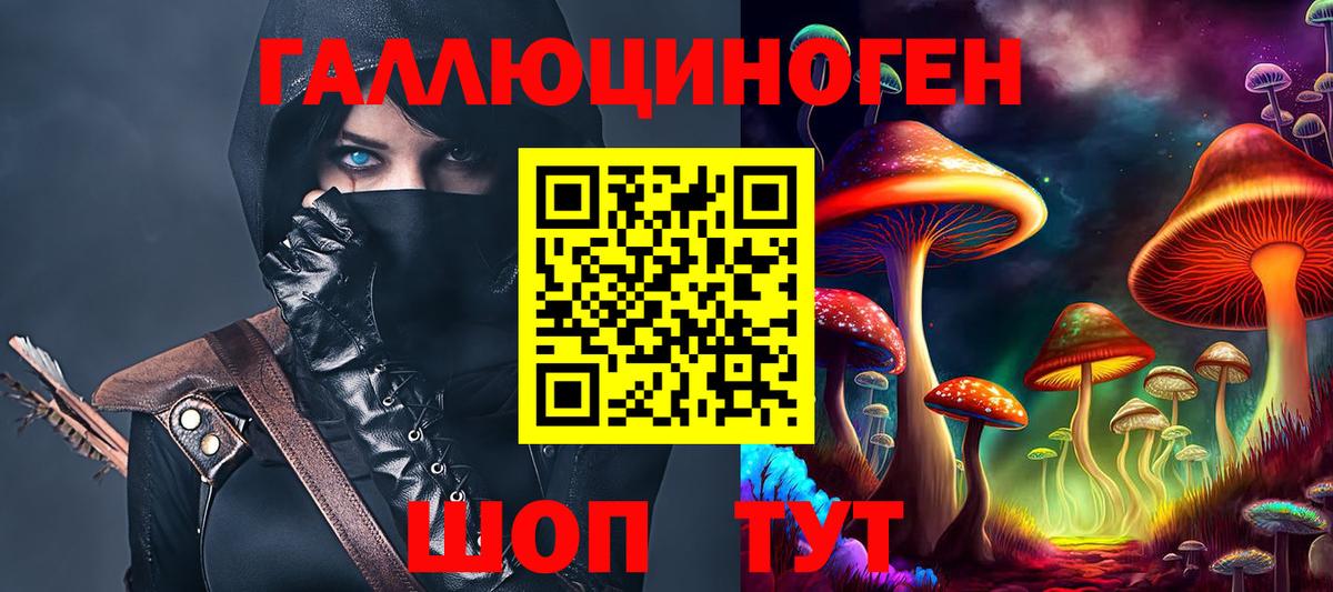 Галлюциногенные грибы Psilocybine cubensis Хасавюрт